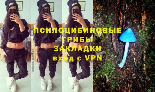 spice Верея